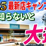 【最新CAINZ】99％がまだ知らない“最新キャンプ道具”がヤバい！カインズ新店キャンプコーナー全部見せます！