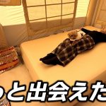 キャンプでぐっすり！最高のエアーベッドはこれだ！！【Coreo】【coody】【キャンプイベント】