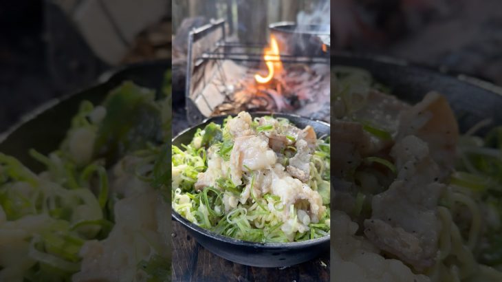 【キャンプ飯】ねぎ塩ホルモン焼きそば#ソロキャンプ #レシピ #asmr