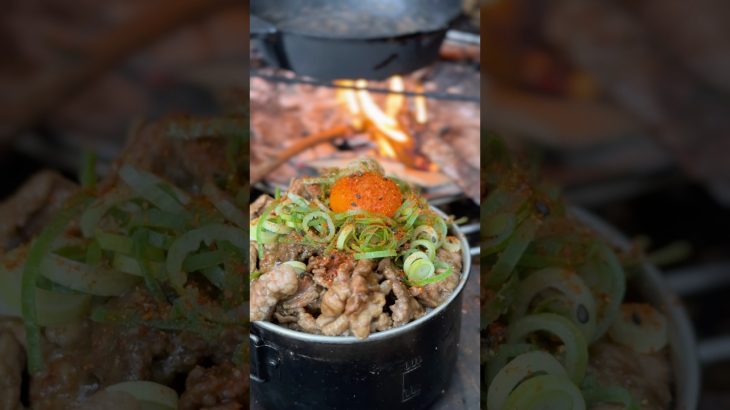 【キャンプ飯】焚き火豚丼#ソロキャンプ #レシピ #asmr