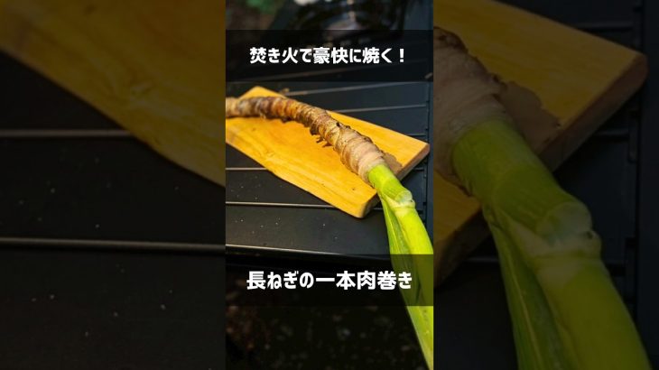 【キャンプ飯】長ねぎの１本肉巻き！焚き火で豪快に焼く超絶簡単レシピ #shorts #アウトドア #キャンプ飯 #ねぎ肉巻き #おつまみ #こっこー