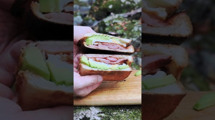 【大自然の中で作るホットサンド】#ホットサンド#キャンプ飯#shorts#shortsfood