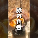 シカオ、豚の角煮を作る   #camping  #outdoors    #キャンプ  #アウトドア  #料理