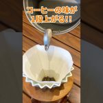 【これマジおすすめ！】絶対友達に教えたいキャンプギア７選！#shorts