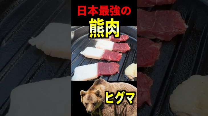 【熊肉】ヒグマ肉で焼肉してみた！