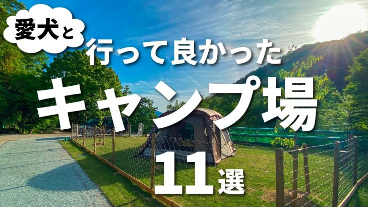 【2026年】犬連れにオススメのキャンプ場11選｜ドッグランサイト｜関西｜滋賀｜兵庫｜三重｜和歌山