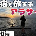 【北海道キャンプ場3選】絶景おすすめスポット見つけた！【猫と犬と車中泊旅】