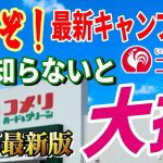 【緊急速報】全キャンパーに知って欲しい ホームセンター 最新キャンプ道具総集編！コメリで絶対買いたい 安くて本当に使えるおすすめギア決定版！【NaturalSeason 2026新商品体験会】