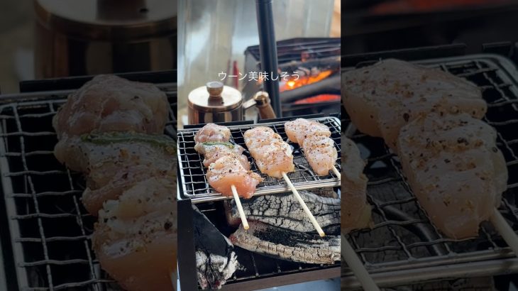 【簡単キャンプ飯】　焼き鳥　#キャンプ飯 #アウトドアグルメ #キャンプ #アウトドア #cooking #焼き鳥 #炭火焼き #低糖質キャンプ飯