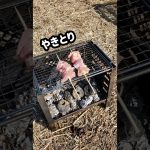 キャンプ熱再沸騰と言うことでやきとりとうどんのデイキャン。#キャンプ #キャンプ飯 #hiiiroooチャンネル