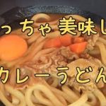 めっちゃ美味しい カレーうどん