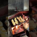 【簡単キャンプ飯】 鶏ささみの梅シソ焼き鳥 #キャンプ飯 #アウトドアグルメ #キャンプ #アウトドア #焼き鳥 #ソロキャンプ #ハイエース車中泊 #低糖質キャンプ飯