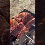 【贅沢串】炭火で串はたまらんよ　#キャンプ飯 #レシピ #炭火焼き #串焼き