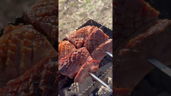 【贅沢串】炭火で串はたまらんよ　#キャンプ飯 #レシピ #炭火焼き #串焼き