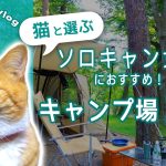 【ソロキャンプ】猫と選ぶキャンプ場５選 | ソロキャン女子におすすめ！
