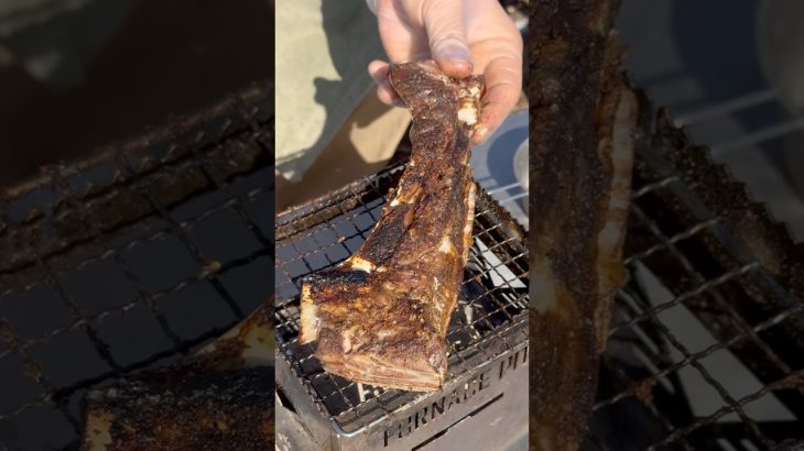 豪快に焼く！マグロのカマをかぶりつく！　#キャンプ飯 #レシピ #炭火焼き #マグロ