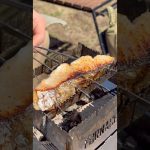 春の魚を【炭火で焼いてみた】　#キャンプ飯 #レシピ #炭火焼き #串焼き