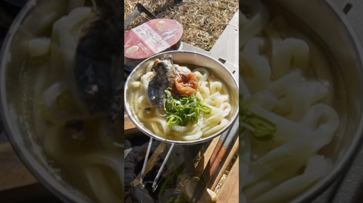 【キャンプ飯】いつかの鰯うどん