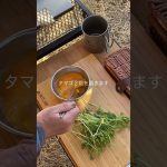 【簡単キャンプ飯】　豆苗とタマゴのスープ　#キャンプ飯 #アウトドアグルメ #キャンプ #アウトドア #低糖質キャンプ飯 #ソロキャンプ #ハイエース車中泊