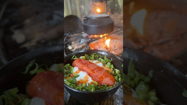 オイコスで明太子うどん。
