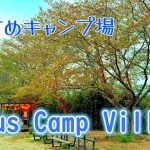 【Lotus Camp Village】神奈川にあるキャンプ場に行ってみた！【酒飲み夫婦】