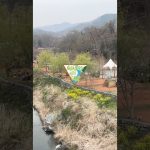 桜満開！春の長瀞オートキャンプ場 #高規格キャンプ場