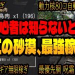 【紅の砂漠】初心者は必ず知っておきたい稼ぎ。肉の集め方、動力核の増殖方、ぶっ壊れアビスギアの生産方、キャンプ拡張、最優先の鎧「呪霜のプレートアーマー」その他、攻略まとめ