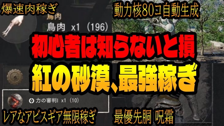 【紅の砂漠】初心者は必ず知っておきたい稼ぎ。肉の集め方、動力核の増殖方、ぶっ壊れアビスギアの生産方、キャンプ拡張、最優先の鎧「呪霜のプレートアーマー」その他、攻略まとめ