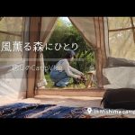 ソロキャンプ女子必見🏕️おすすめ！緑に包まれる癒しのキャンプ場にたどり着いた🐻