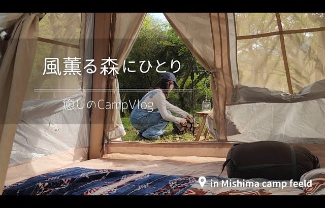 ソロキャンプ女子必見🏕️おすすめ！緑に包まれる癒しのキャンプ場にたどり着いた🐻