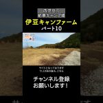 伊豆キャンファーム！景色だけでも行く価値あり！10 #キャンプ場紹介  #伊豆キャンファーム #キャンプ