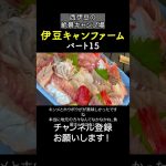 伊豆キャンファーム！景色だけでも行く価値あり！15 #キャンプ場紹介  #伊豆キャンファーム #キャンプ