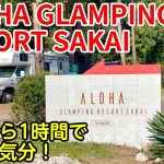 【キャンプ場紹介】アクセス抜群！ハワイアンなキャンプとグランピングが気軽に楽しめる【ALOHA GLAMPING RESORT SAKAI】