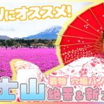 GWにおすすめ！高崎春アナが富士山周辺の絶景スポットを満喫リポート デジタルキャンプ場＆芝桜じゅうたんで着物体験 新施設や新グルメが続々登場！こども無料＆朝割などお得情報も
