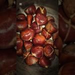 PROASTING CHESTNUTS ON AN OPEN FIRE  #campping #outdoors #bushcraft #chestnut #foryou