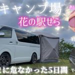 【あいめろちゃんとキャンプ場でTikTok配信】絶景キャンプ場　花の駅せら　心の病いも吹き飛ばす山の病院　虫嫌いでもサイト内に入ってこれない環境を作ればこんなに快適に過ごせる最強テント