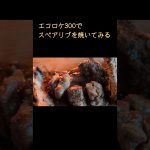 スペアリブを焼く　#キャンプ飯 #肉料理#rocketstove #料理