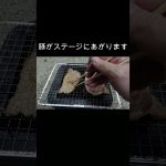 炭火で焼いたら優勝#豚丼#男飯#料理動画#飯テロ#キャンプ飯#簡単レシピ#肉料理#アウトドア飯#豚バラ#shorts