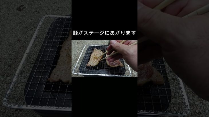 炭火で焼いたら優勝#豚丼#男飯#料理動画#飯テロ#キャンプ飯#簡単レシピ#肉料理#アウトドア飯#豚バラ#shorts