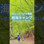 おすすめキャンプ場キャンプあかいけ #絶景 #おすすめキャンプ場 #絶景キャンプ場