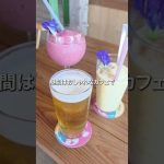 海キャンプここがオススメ✨