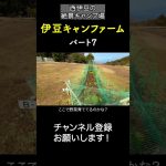 伊豆キャンファーム！景色だけでも行く価値あり！⑦#キャンプ場紹介 #伊豆キャン #伊豆キャンファーム #絶景キャンプ場