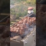 キャンプで焼き鳥は美味すぎた。