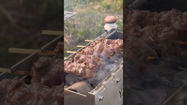 キャンプで焼き鳥は美味すぎた。