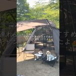 ファミリーキャンプデビューにおすすめ🏕️✨